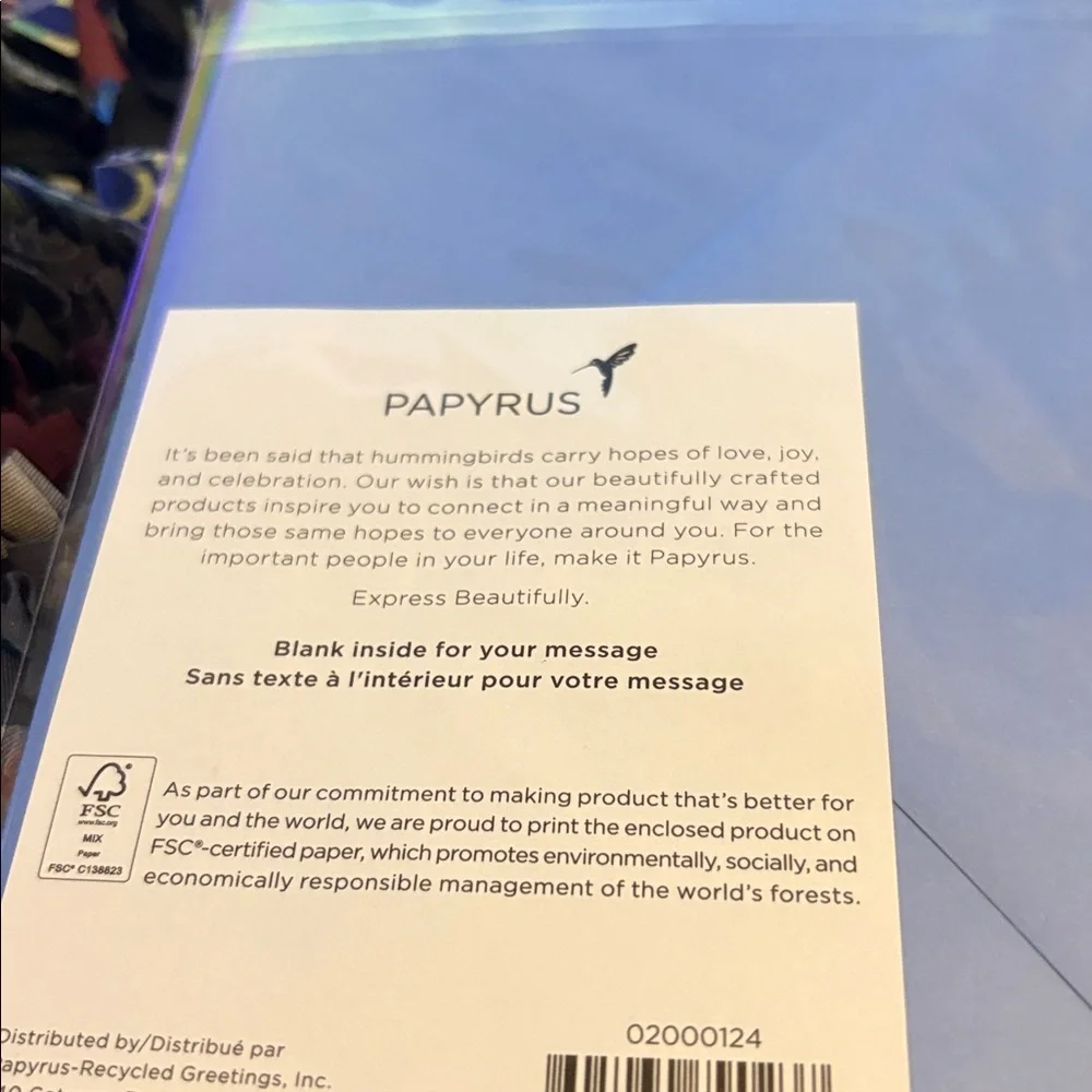 🆕Papyrus Iridescent Hot Air Balloon Blank Inside Card